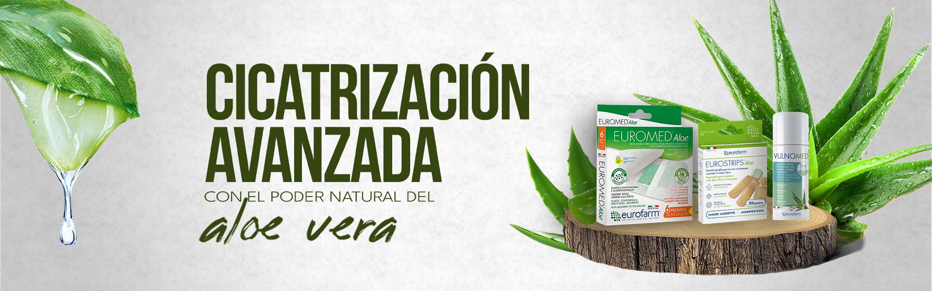PODER NATURAL DEL ALOE DE VERA